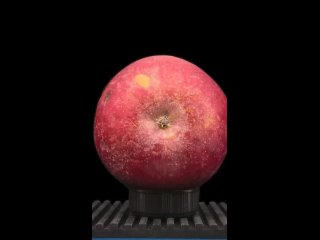 Видео, призванное показать, что ничего хорошего в этой части яблока нету.