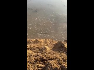 В Кургане в Кулацком укрепляют и дополнительно отсыпают дамбу (видео)