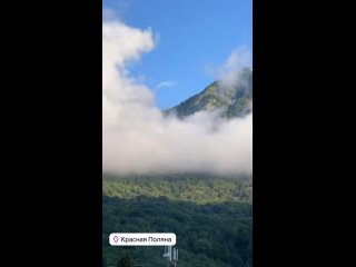 Хорошие новости!  Сегодня - лето, через месяц - лето и даже через год - тоже лето! (видео)