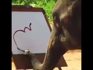 Тот момент, когда слон рисует лучше меня