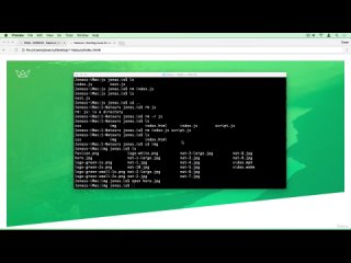 026 A Brief Introduction to the Command Line