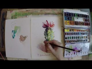 Как нарисовать акварелью кактус. Drawing a watercolor cactus