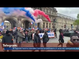 В Париже тысячи манифестантов потребовали от властей прекратить выделять деньги Киеву