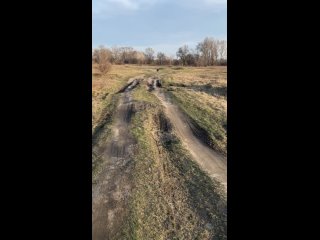 Видео от Муна - Бордер Колли в Абакане