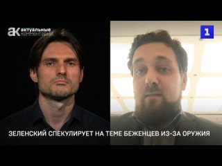 Скориков: Зеленский спекулирует на теме беженцев из-за оружия