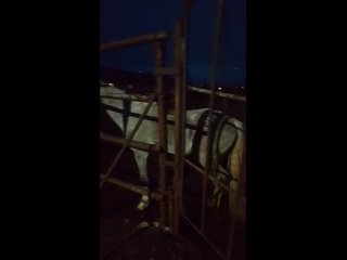 Видео от ТверьАктив69 (сплавы, походы, аренда снаряжения)