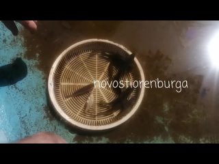 Видео от Честный Оренбург