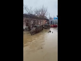 В Оренбургской области продолжается эвакуация местных жителей из-за паводка. Вот так вот полицейские вместе со спасателями вынос