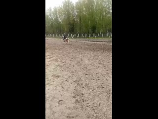 Video by Катание на лошадях в Костроме КК Милана