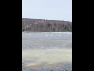 Видео от Грибы Удмуртии