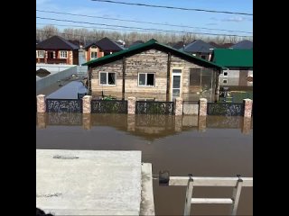 Пара из Оренбурга уже трое суток живёт на крыше    Супруги оборудовали спальное место и туалет, животные находятся... (видео)