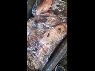 Рыба горячего копченияРыба холодного копченияСалатыРаки вареныеВяленая рыба