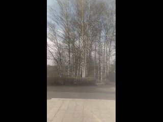 Video by Nataliya Dubna
