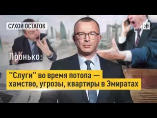 Пронько: “Слуги“ во время потопа — хамство, угрозы, квартиры в Эмиратах

То, что так называемая элита в России от вседозволеннос