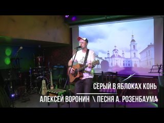 Алексей Воронин | Серый в яблоках конь (песня А. Розенбаума)