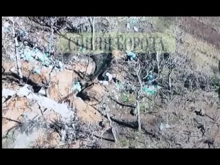 ️ El asalto a las posiciones de los pistoleros de las VSU al norte de #Soledar por los paracaidistas-guardias de la 106ª Divisió
