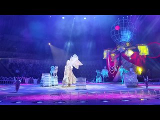 Шоу фонтанов «Принц цирка» - 7