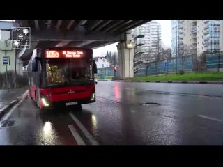 В Сочи курсирует праздничный автобус