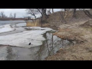 Видео от ТЕРРИТОРИЯ ЩАСТЬЯ/Курган