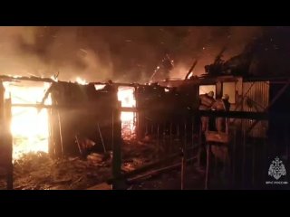 ️ В Курской области более 15 птиц погибли на пожаре