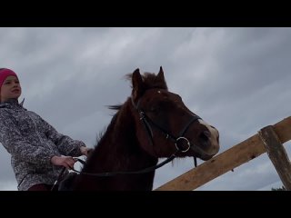 Тренировка в конном клубе Бабушкино Раздолье