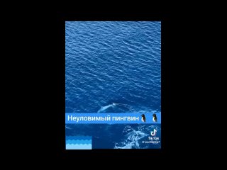 Видео от Наш увлекательный мир