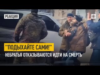 “Подыхайте сами!“ Небратья отказываются идти на смерть