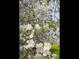 Весна на Ивановской горке