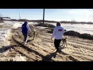 Юннатский субботник в Октябрьском районе