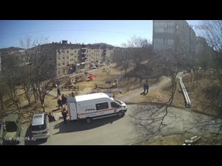 В Находке при помощи спасателей достали из ливневого стока собаку