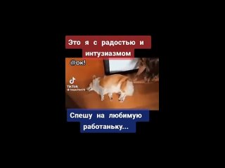 Видео от Натяжные потолки Киров “ПотолочникRu”