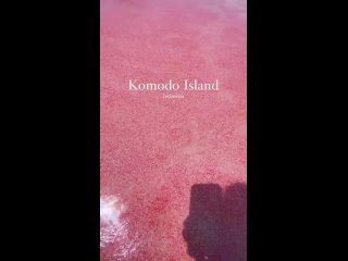 Индонезия 🇮🇩, Пляж Комодо, также известный как Пантай Мера или Розовый пляж