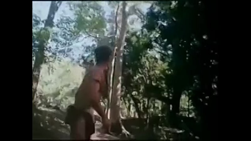 Tarzan x shame of jane (1995) . Тарзан Х, и позор Джейн.