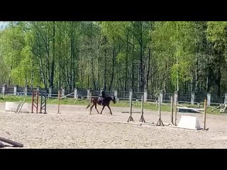 Video by Катание на лошадях в Костроме КК Милана