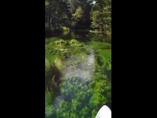 Организовываем прогулки на сапах в этом чудесном месте 🏄♂️ https://vk.com/vot_sup - Николай Ивашкин