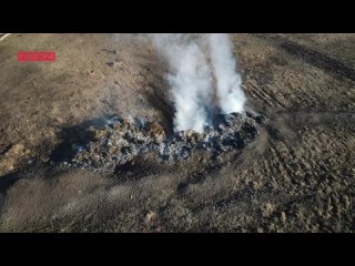 Пожарные бьют тревогу: в Приамурье фермер выжигает места обитания уникальных пернатых