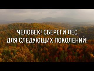 freecompress-ПИЛГ Лесные пожары