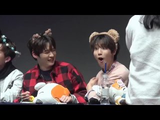 Видео от World Stray kids