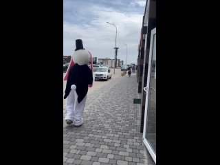 Video by Сюрприз в Тольятти, Большой белый Мишка Тольятти
