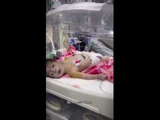 Dalia, una beb palestina de 4 meses de edad, muri de hambre y de deshidratacin en el hospital de Al-Aqsa por el bloqueo del
