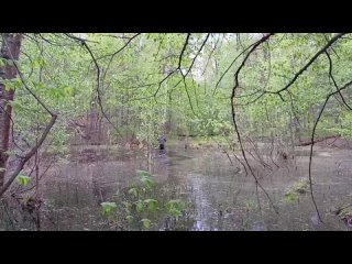 Видео от Саида Хайруллина