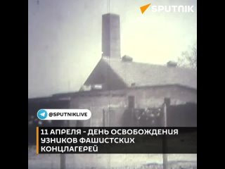 11 апреля — Международный день освобождения узников фашистских концлагерей