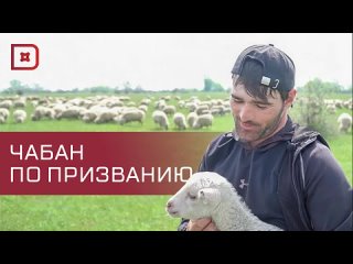 Чуть больше месяца осталось до начала Всероссийской выставки племенных овец и коз, которая пройдет в Каспийске