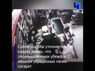 Неизвестные украли мешок сигарет из магазина во Всеволожском районе