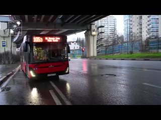 Цветочный автобус 8 марта вышел на линию в Сочи