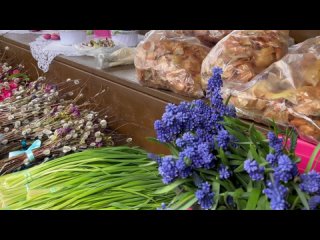 Видео от Центральный рынок Йошкар-Олы