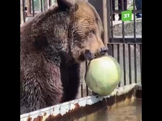 Самое время подкрепиться! Заодно и бьюти-маску для лица можно сделать