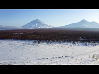 Трейлер фильма - Снежные псы