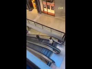 На пути террориста, резавшего людей в торговом центре Сиднея, встал русскоязычный мужчина со столбом в руках