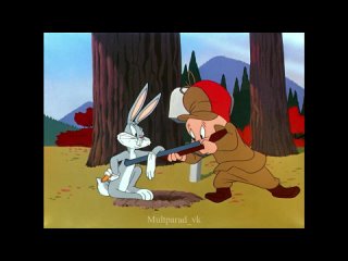 Луни Тюнз/Looney Tunes 20 часть (1-13 серии) - серии отзеркалены